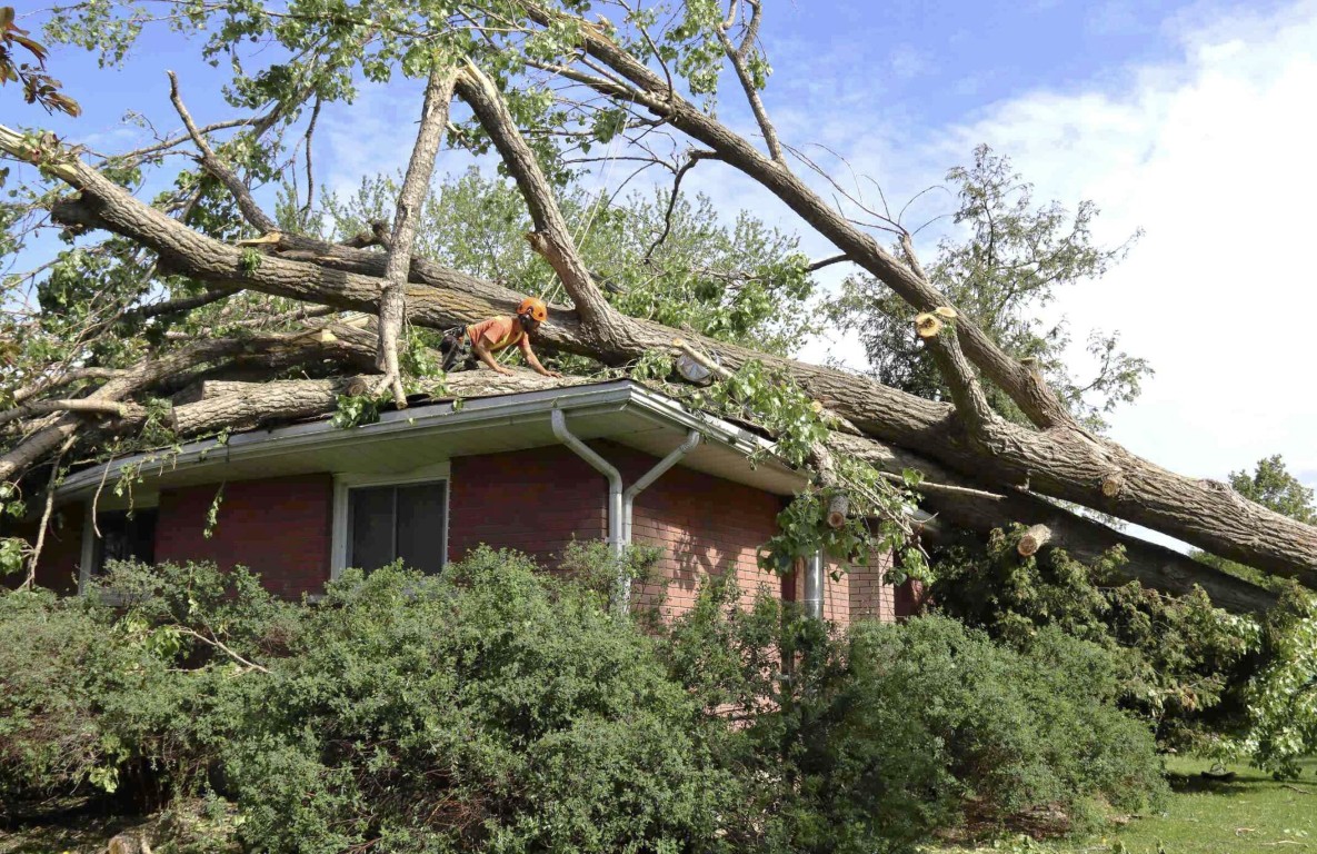Emergency tree removal from damaged roof in Lancaster, OH