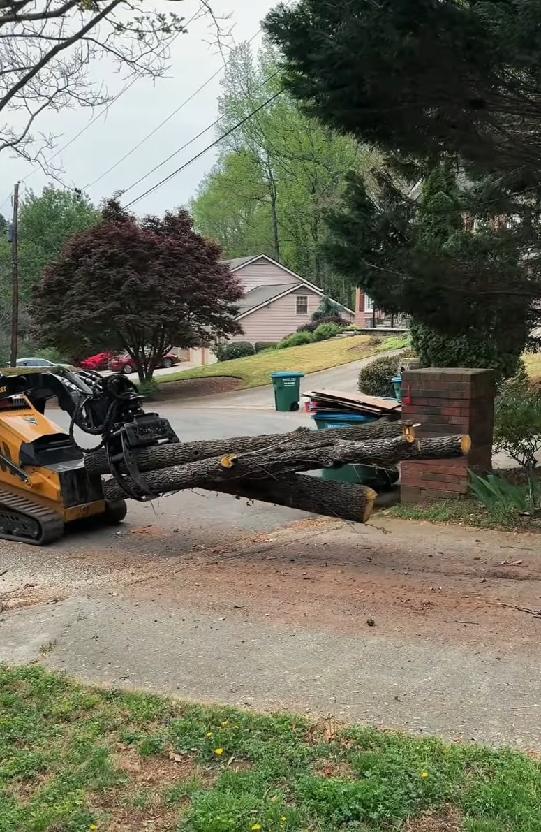 Safe tree log removal near residential property in Lancaster, OH