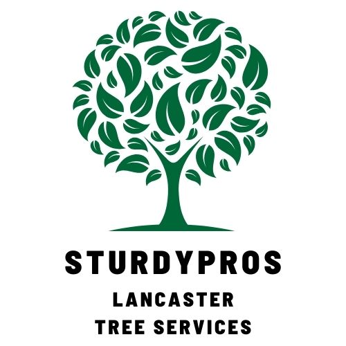 SturdyPros Lancaster Tree Services logo