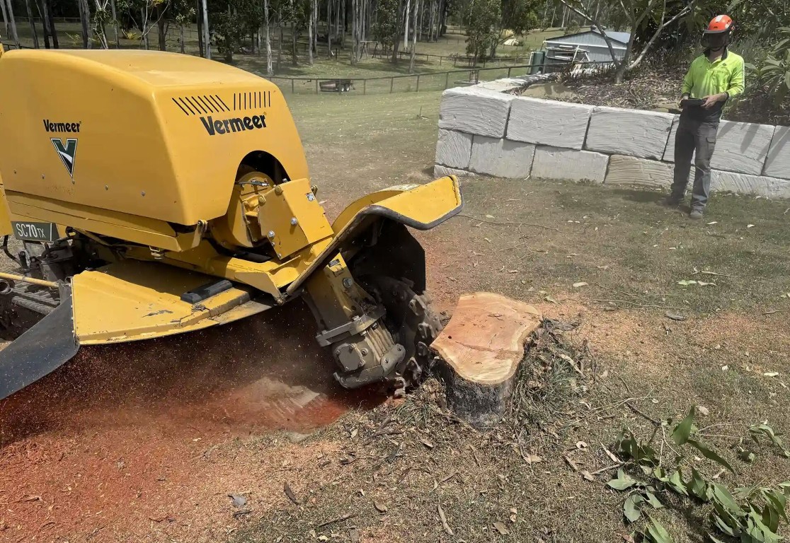 Professional stump grinding equipment at work in Lancaster, OH